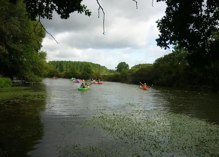 Domaine De La Courbe Le Lude