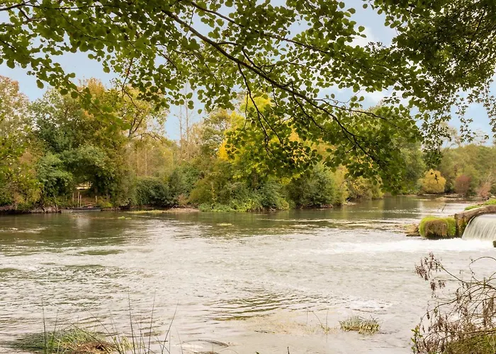 Domaine De La Courbe